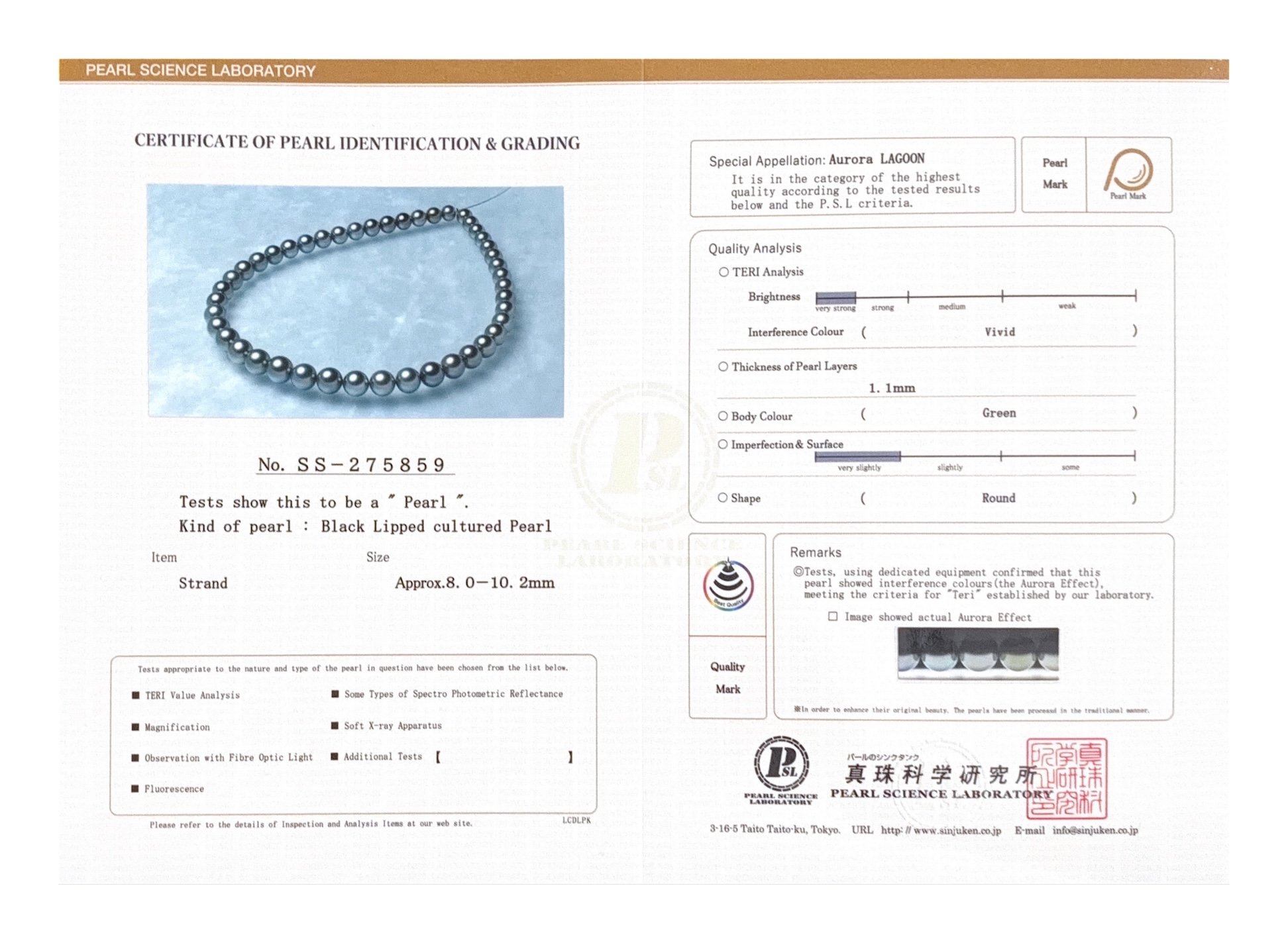 ~8-10mm Tahitian South Sea Pearl Necklace - PSL Certified - Secondary Image~