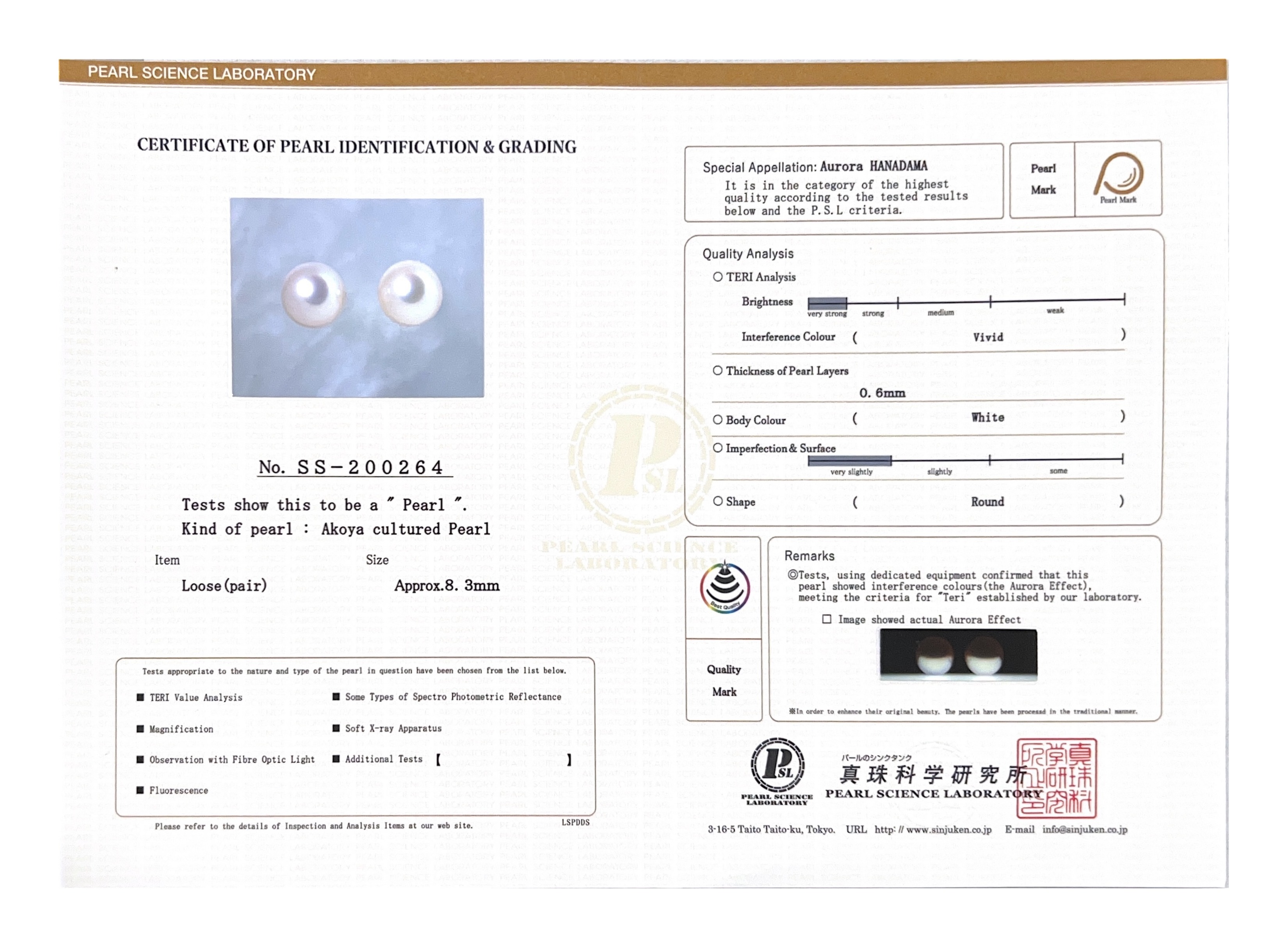 Japanese Akoya Certified Hanadama Pearl Lindsey Earrings - Secondary Image