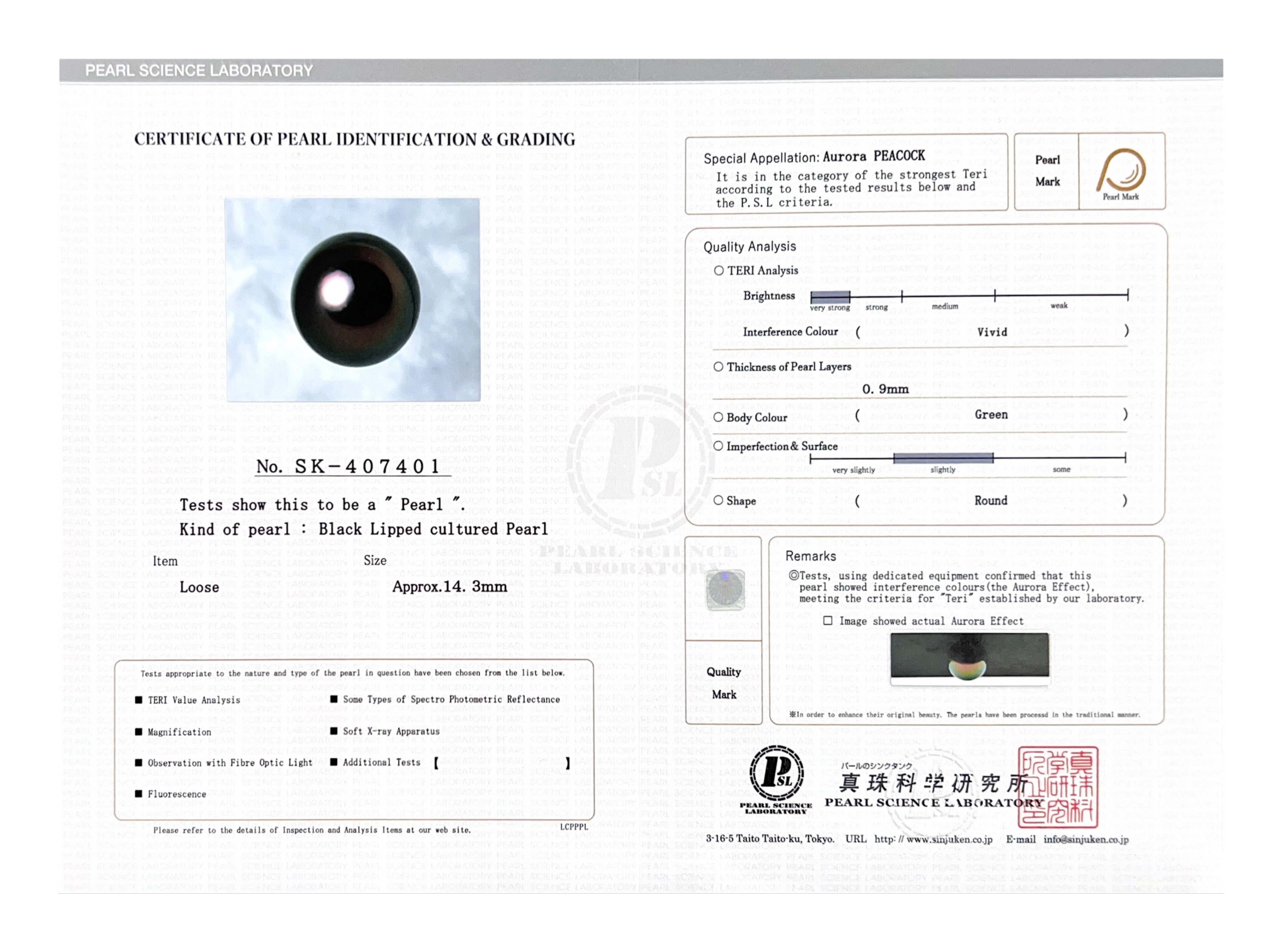 14.3mm Tahitian South Sea Peacock Pearl - PSL Certified - Model Image