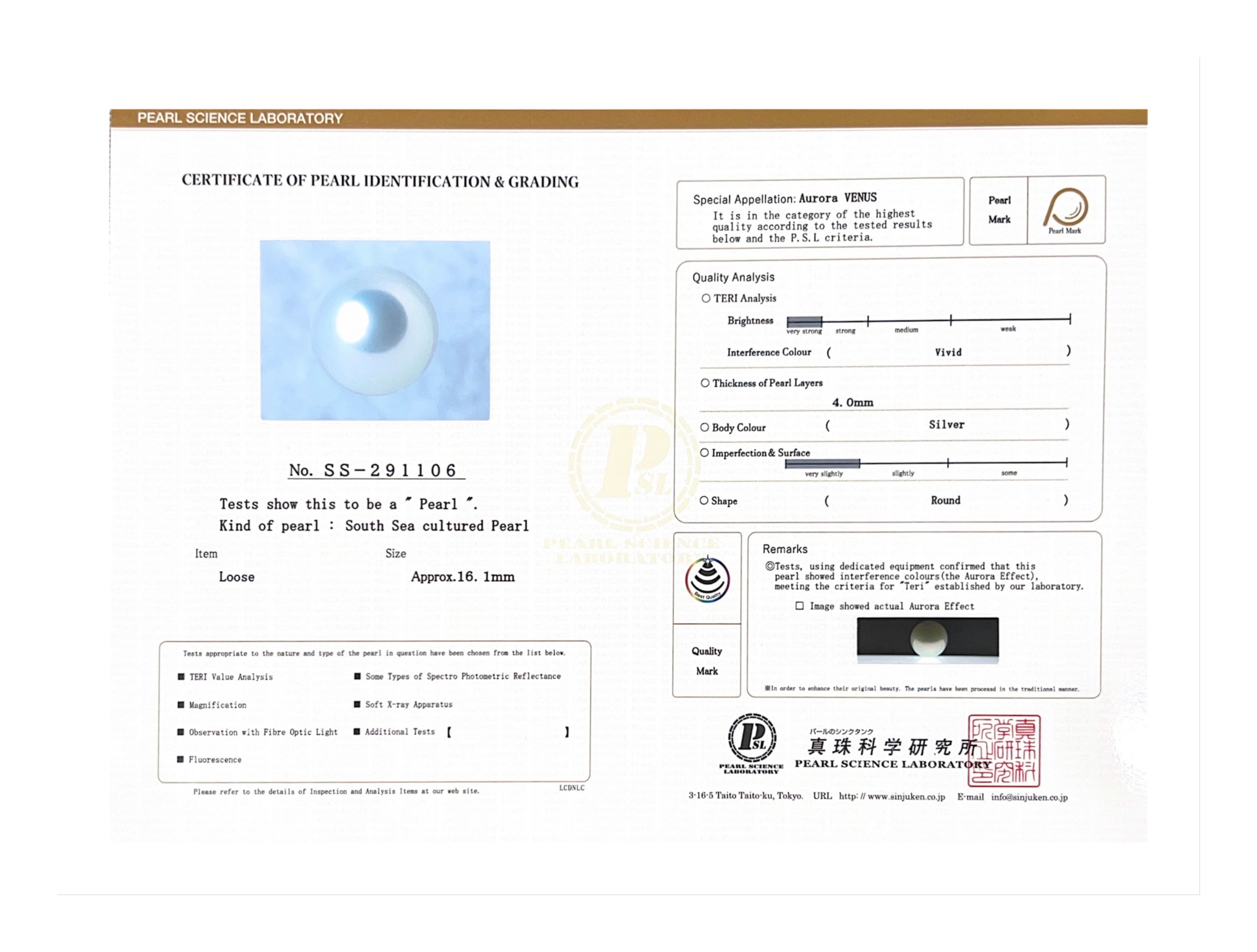 16.1mm White South Sea Loose Pearl - PSL Certified - Model Image